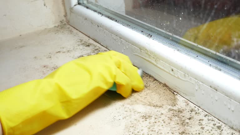 Best Residential Mold Inspection & Testing  in Belle Mead, NJ